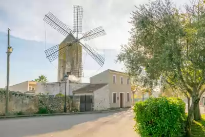 Ferienunterkünfte in Llubí, Mallorca